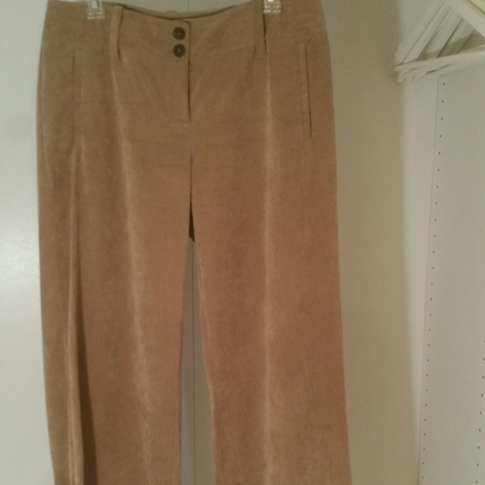 Rich camel color corduroy by Michael Khors